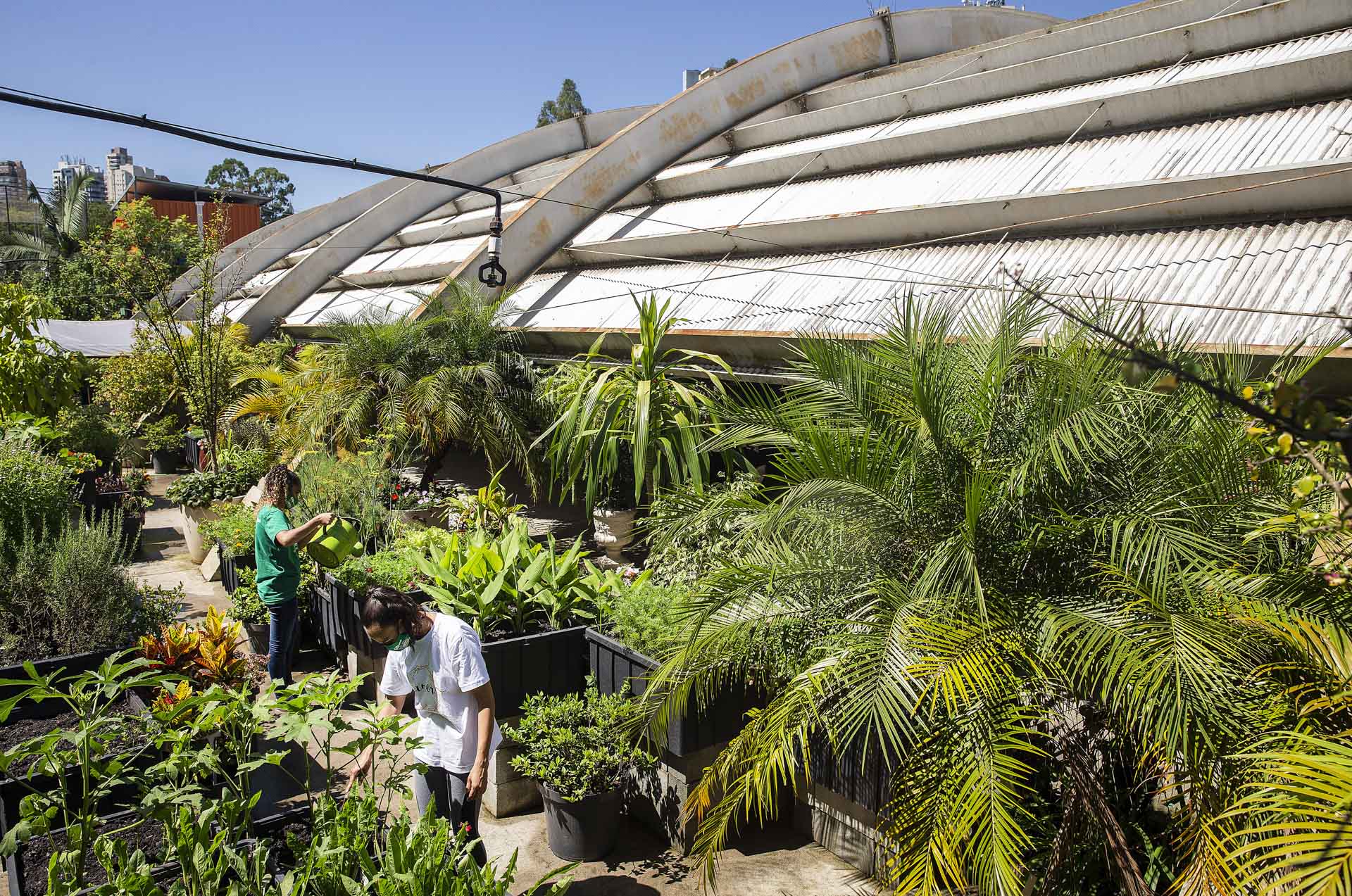 Vista aérea de horta vertical da favela de Paraisópolis, na zona sul de São Paulo, que fica em área reduzida ao lado do galpão. Projeto é idealizado pelo Instituto Stop Hunger. Foto: Eduardo Knapp Folhapress