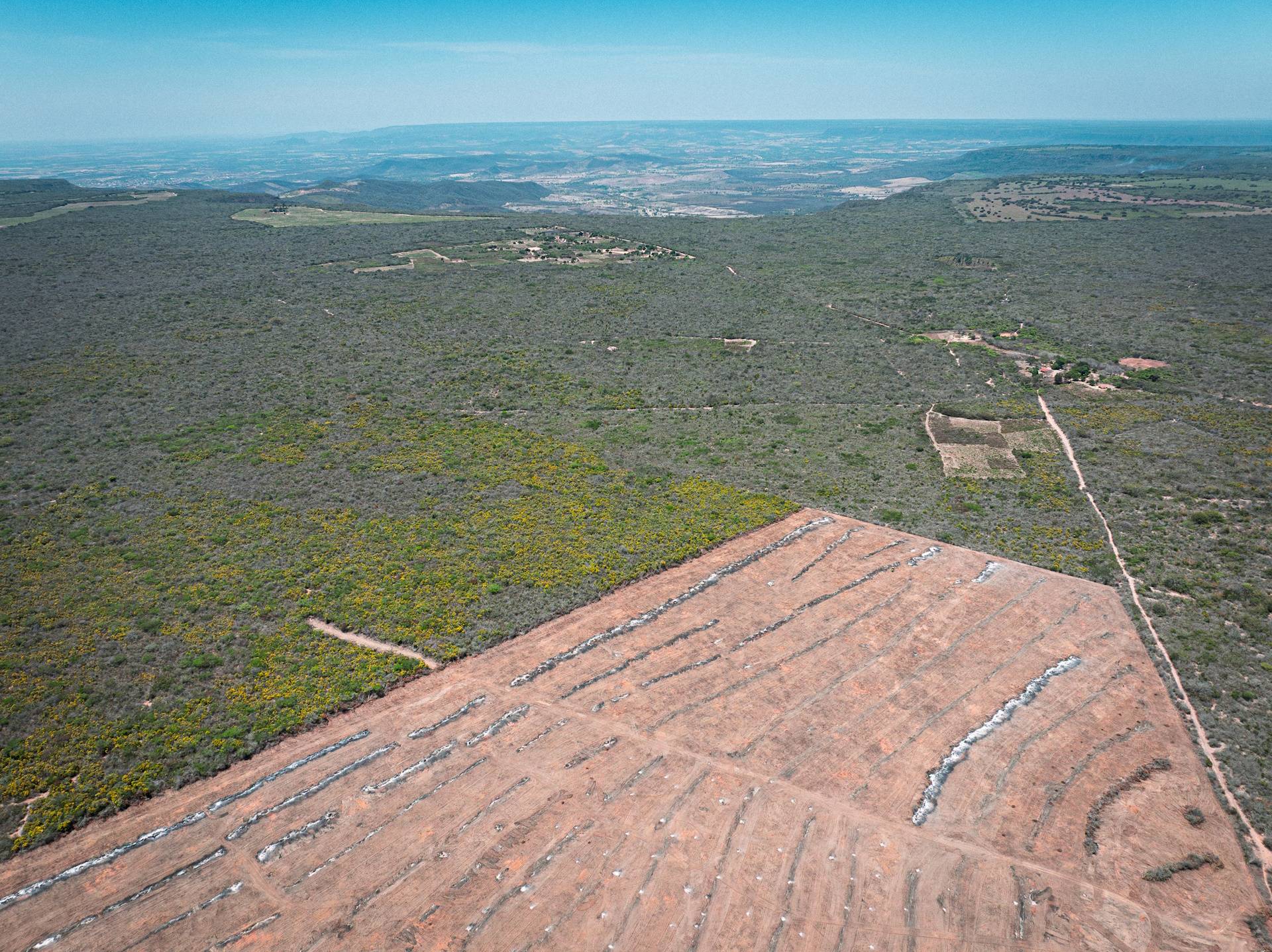 Desmatamento na Chapada. Foto: Fred Rahal | Movimento Salve a Chapada do Araripe.