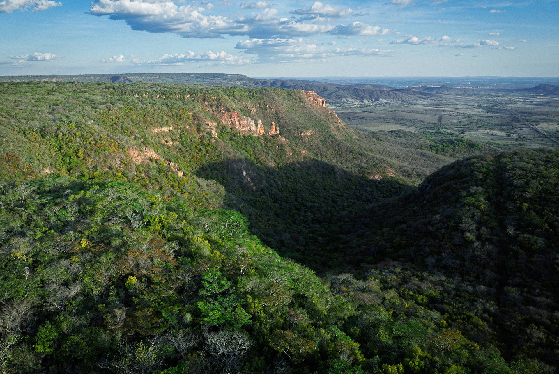 Vista do Alto da Serra. Foto: Fred Rahal | Movimento Salve a Chapada do Araripe.