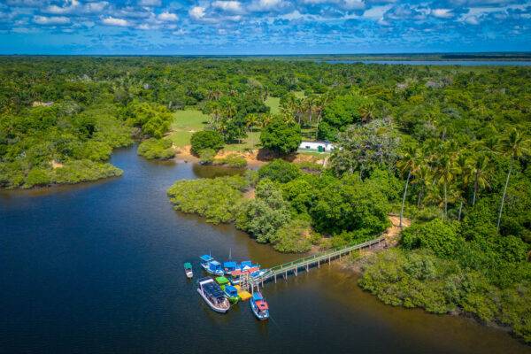 Cenário num dos pontos de acesso à Resex de Cassurubá. Foto: Eduardo Melo / Instituto Baleia Jubarte / WWF-Brasil