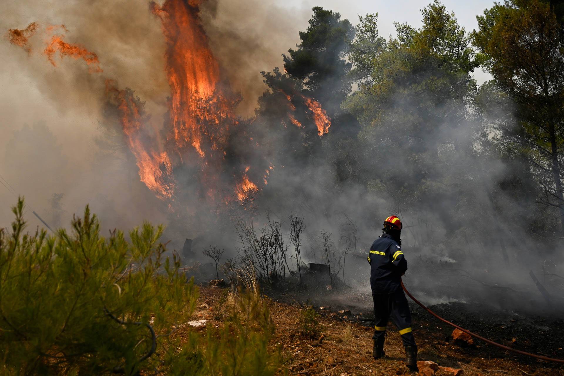 Grécia – Incêndios devastaram a região próxima de Atenas, capital da Grécia, nos primeiros dias de agosto. Na foto, um bombeiro se prepara para extinguir as chamas nas proximidades de Porto Germeno, a noroeste de Atenas. Foto: Michael Varaklas / AP Photo