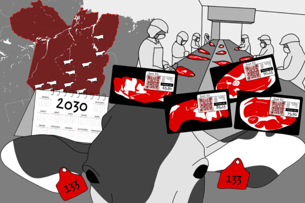Pecuária Sustentável do Pará flerta com fracasso após adiar prazo para 2030. Ilustração: Renata Costa