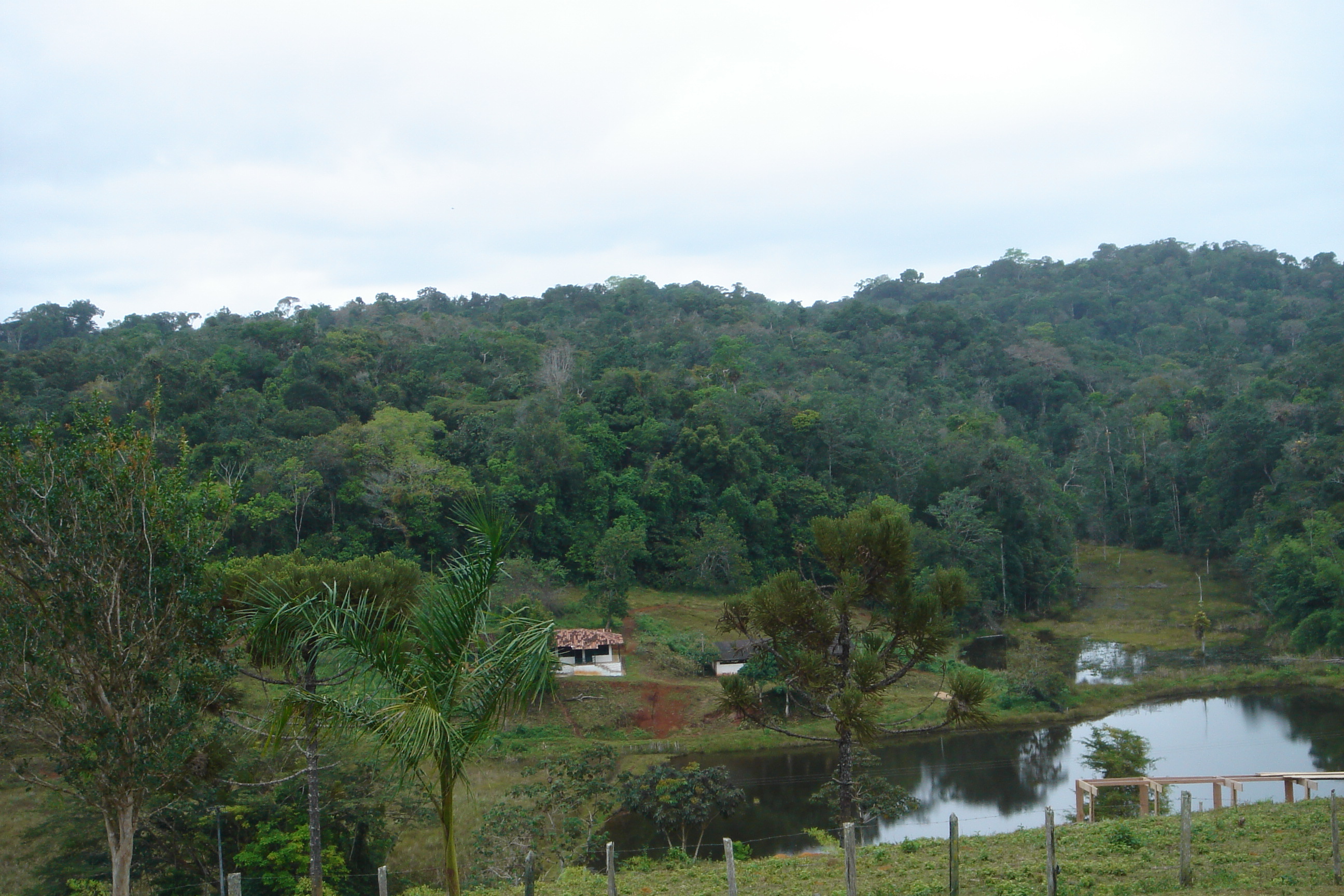 Fazenda Água Boa, onde se localizam as reservas Juerana e Sapucaia (BA). Foto: Norberto Hess