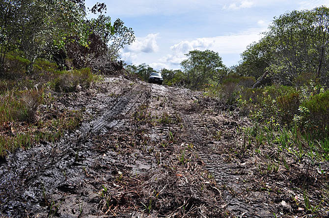 Estrada aberta no meio da caatinga em área do Parque Estadual Morro do Chapéu, na Bahia. (Foto: Almack Luiz Silva)