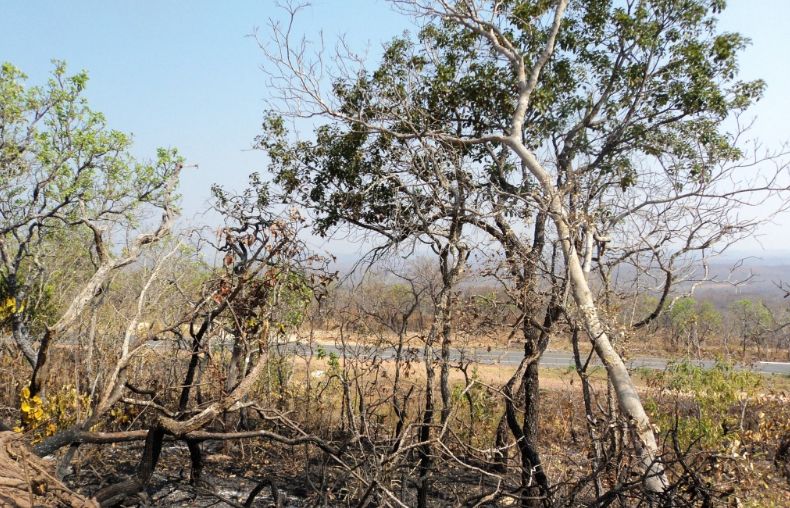 Um dos conflitos é com relação ao Macrozoneamento Ecológico-Econômico da Amazônia Legal. (Crédito: ICV)
