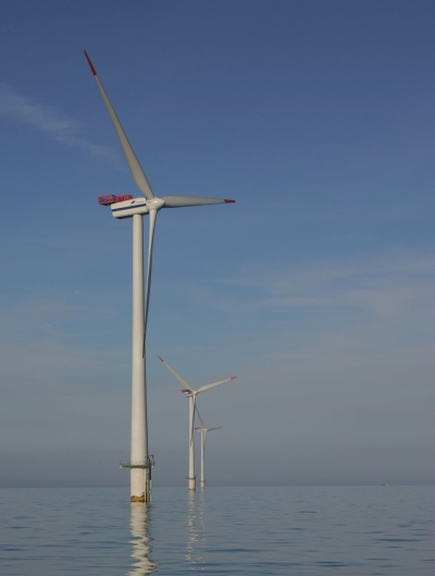 Turbinas do parque eólico Horns Rev I. (foto: Naturfocus; Vattenfall)