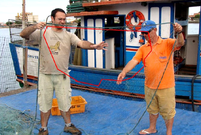 Os animais são capazes de danificar as redes utilizadas pelos pescadores.