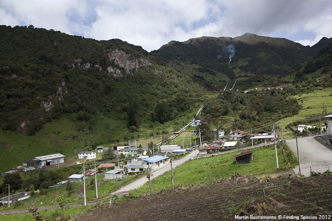 Papallacta fica na província Napo, onde dutos de petróleo e água, de vital importância para Quito, já são parte da paisagem. Crédito: Martin Bustamante, Finding Species