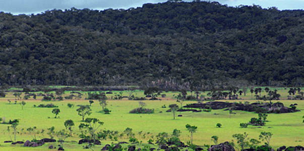 Parque Nacional Natural El Tuparro: (Foto: Divulgação)