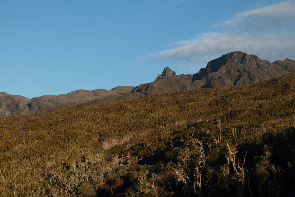 Mashame está no limite superior das florestas, mais acima as encostas são cobertas por vegetação de Heather. Foto: Fabio Olmos