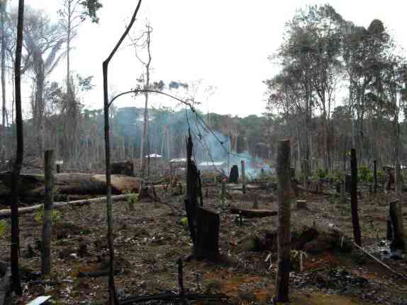 Desmatamento causada por especulação imobiliária nas proximidades de Manaus (foto: Mario Cohn-Haft)
