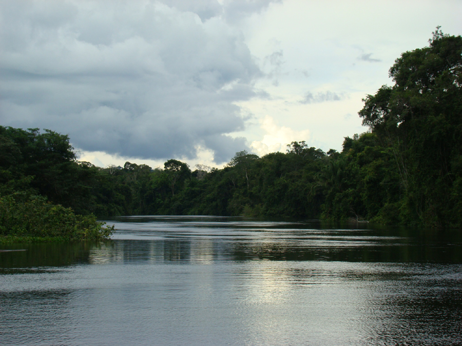 Floresta ainda preservada no norte de Mato Grosso. Foto: Andreia Fanzeres