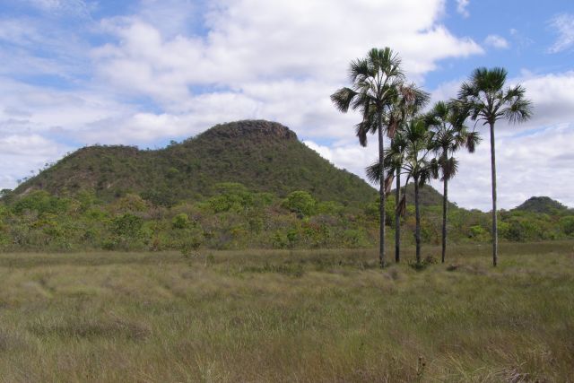 Parque Nacional Grande Sertão Veredas protege o Cerrado na divisa entre Minas Gerais e Bahia (fonte: ICMBio)