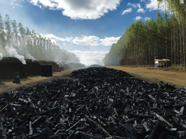 Produção de carvão em Rio Pardo (MG) 