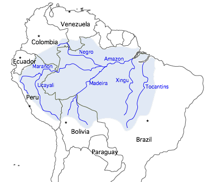 Ambientalistas preocupam-se que obras no rio Madeira podem afetar toda bacia amazônica.