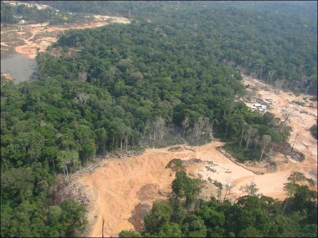 Terra devastada na região de Novo Progresso, Pará. (foto: INPE)