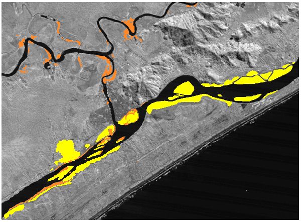 Estas imagens de satélite mostram a região do manguezal de Iguape e o Rio Ribeira (acima), que deságua em parte pelo canal Valo Grande no canal lagunar onde se desenvolvem os manguezais. Em 1997, eram 827 hectares de mangue (área amarela) e 226 hectares de macrófitas no entorno do rio (área laranja). Treze anos depois, foi até verificado um aumento na área do manguezal (952 hectares), mas este foi invadido por macrófitas, que em todo sistema cresceram para uma área de 329 hectares. Este crescimento é o que está colocando em risco o manguezal. 