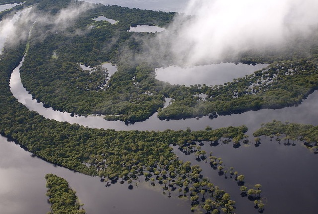 Votação definitiva das mudanças do Código Florestal será daqui há uma semana. Na foto, visão aérea da Floresta Amazônica. Crédito: wikipédia