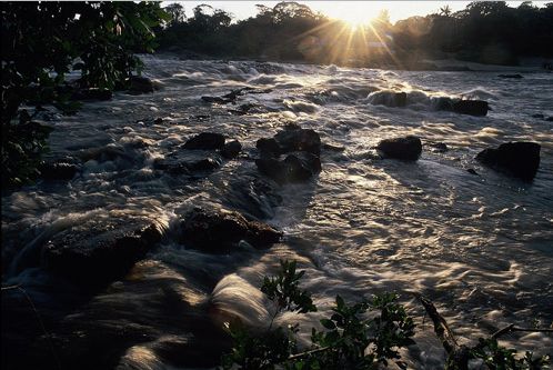 Parque Amazônico da Guiana. (Crédito: Divulgação)