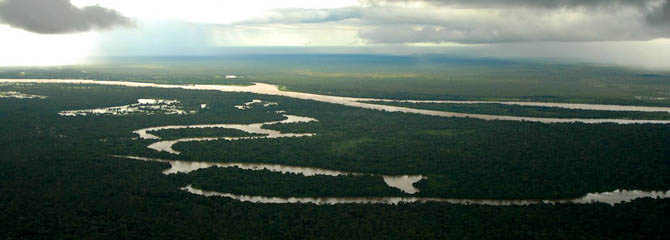 Os lagos e lagoas que se formam a partir do transbordamento na época chuvosa no rio Araguaia são berçários vitais para centenas de espécies de peixes. (Foto: Margi Moss)