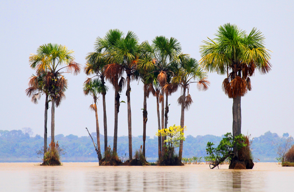 Lago Rogaguado: áreas úmidas contribuem para o ciclo hidrológico e abrigam grande biodiversidade. Fotos: Vandré Fonseca