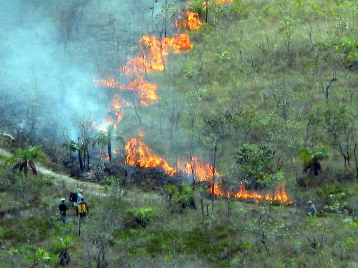 Combate ao fogo que invadiu fazenda no Vale dos Macacos. Clique e confira mais imagens da degradação. fotos: Divulgação / O Eco