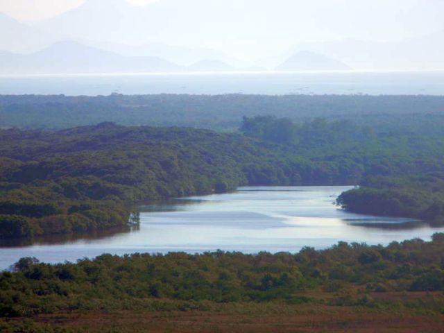 Reserva Biológica de Guaratiba, no Rio de Janeiro, guarda a porção de manguezal mais bem preservada do estado. Crédito: Divulgação/INEA