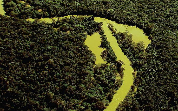 Esta imagem é parte da publicação "Amazônia Maranhense: diversidade e conservação". Bioma no Maranhão recebe pouca atenção do poder público, da ciência e da população maranhense. Crédito: Divulgação/Goeldi
