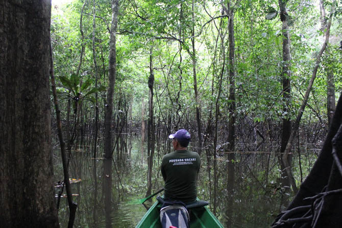 Na região de Mamirauá, da canoa, o nativo admira a floresta alagada. foto: Christiane Kokubo