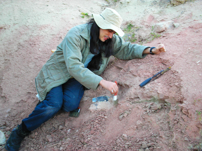 O paleontólogo Juan Cisneros trabalhando em campo. Fóssil foi descoberto em fazenda no Rio Grande do Sul. Foto: Divulgação