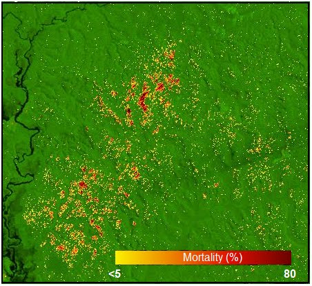 Tempestades provocam grandes danos à floresta. Mapa produzido a partir de imagens de satélite e informações de campo indica gradual de destruição em área próxima a Manaus, em 2005. Foto: Divulgação.
