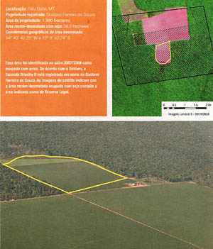 Comer pelas bordas: Desmatamento com menos de 60 hectares em fazenda no Mato Grosso. A porção hachurada é sua reserva legal, sobre onde avança o desmate. (Imagens e dados: Greenpeace)