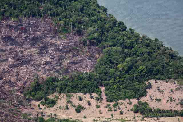 Desmatamento dentro da Resex Verde para Sempre, no Pará (foto: Rodrigo Baleia/Greenpeace)