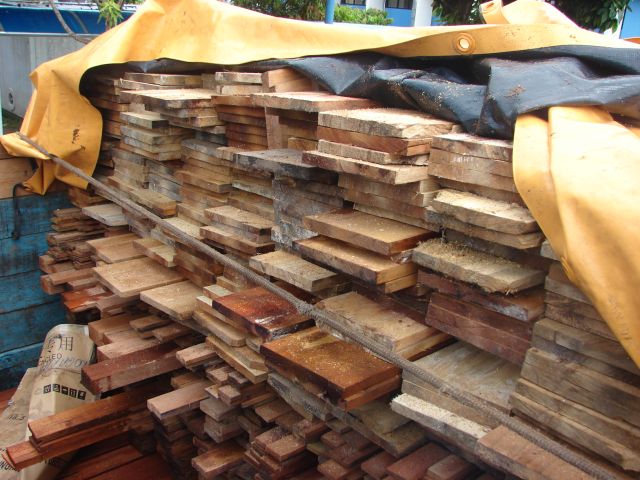 As madeiras serradas sob a lona (foto: divulgação)