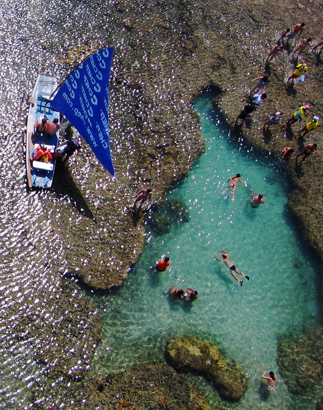 Principal atração turística de Porto de Galinhas são as piscinas cheias de vida que os recifes, até então, oferecem. Crédito: Ricardo Ferreira