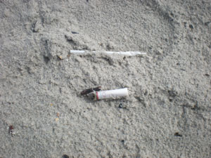 Ponta de cigarro e canudinho usado na areia são inofensivos. No estômago de uma tartaruga é morte certa. crédito: Celso Calheiros