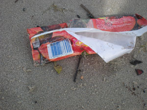 Embalagem de picolé é um dos resíduos mais frequentes nas praias nordestisnas. crédito: Celso Calheiros