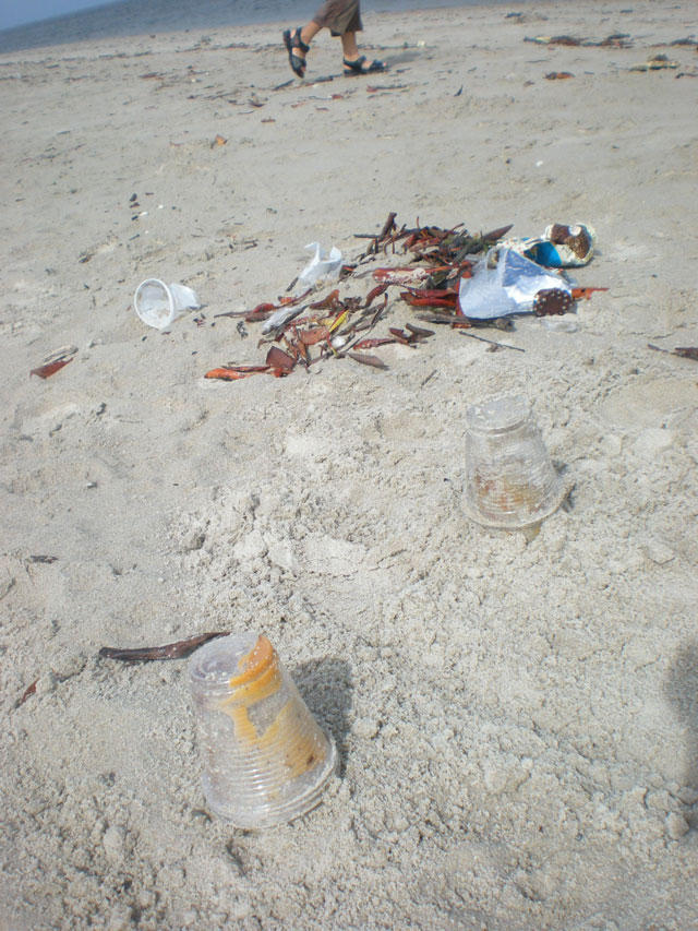 Copos e embalagens plásticas comuns em praias urbanas representam ameaça de morte a animais marinhos. crédito: Celso Calheiros