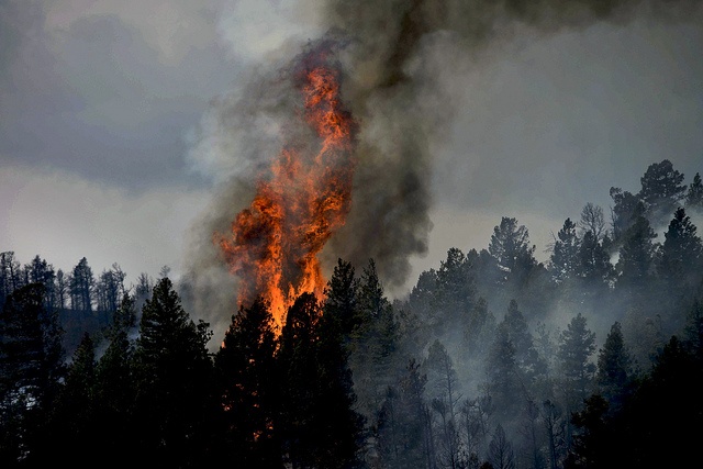 Incêndio em torno da cidade de Colorado Springs, Estados Unidos. Foto: Charles McCain
