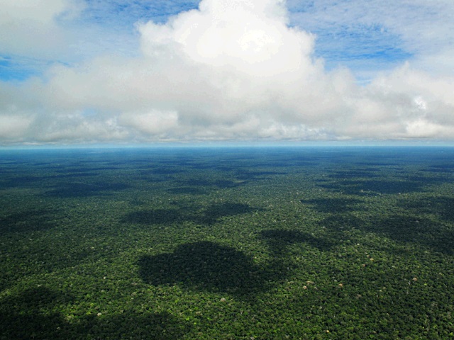 Sobre a floresta amazônica, estas nuvens (acima) que não ameaçam. Foto: CIFOR/Flickr.