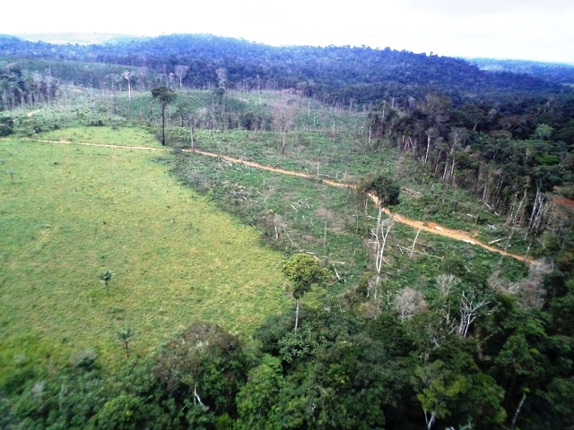  Operação do Ibama embarga áreas desmatadas ilegalmente no Pará. Foto: Nelson Feitosa/Ascom Ibama/PA.