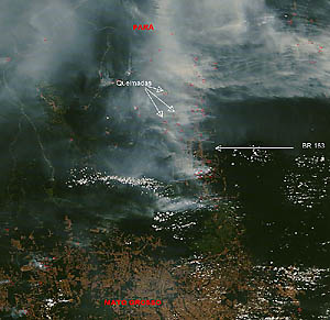 Pontos vermelhos indicam queimadas ao longo das BR 163 e 319, em agosto de 2008. Imagem explicita concentração do desmatamento ao longo das rodovias na Amazônia. (Fonte: Sensor Modis/Nasa com edição do Eco)