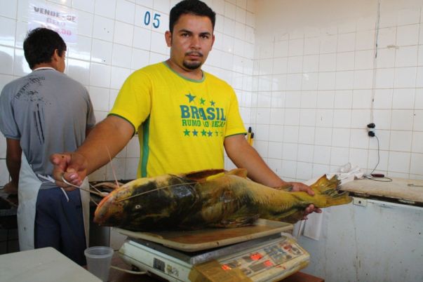  Para Ceste, comerciantes como Frank estão satisfeitos com o “aumento” de peixes. (foto: Divulgação)