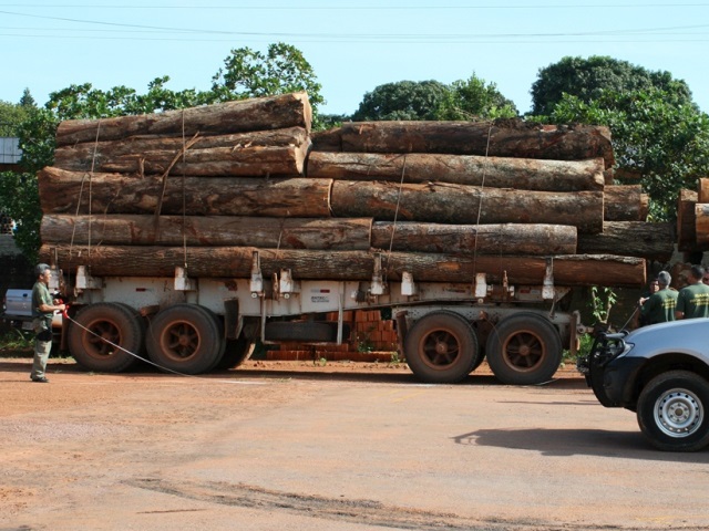 Ibama apreende madeira ilegal no Mato Grosso. Foto: Ascom Ibama/MT