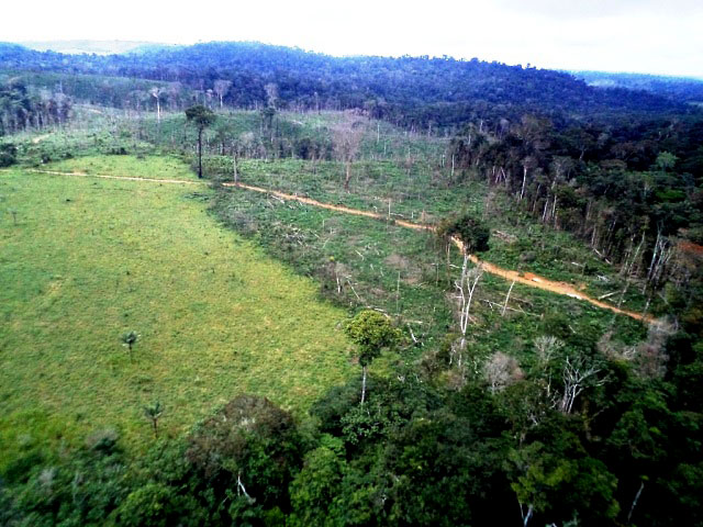  Operação Onda Verde: Ibama embarga áreas desmatadas ilegalmente no Pará. Foto: Nelson Feitos/Ascom Ibama/PA.