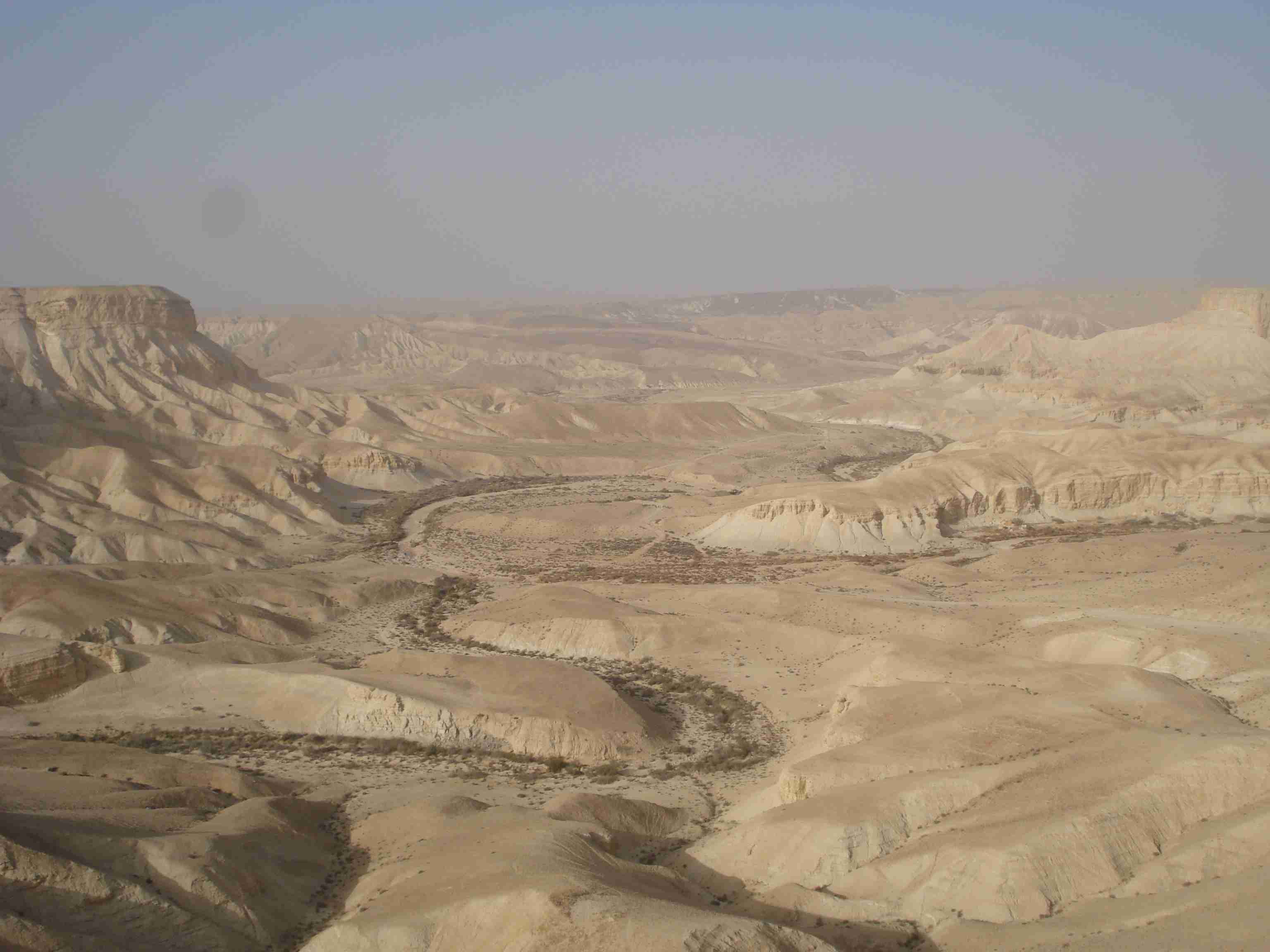 Meandros de rio seco em Negev (foto: autor)