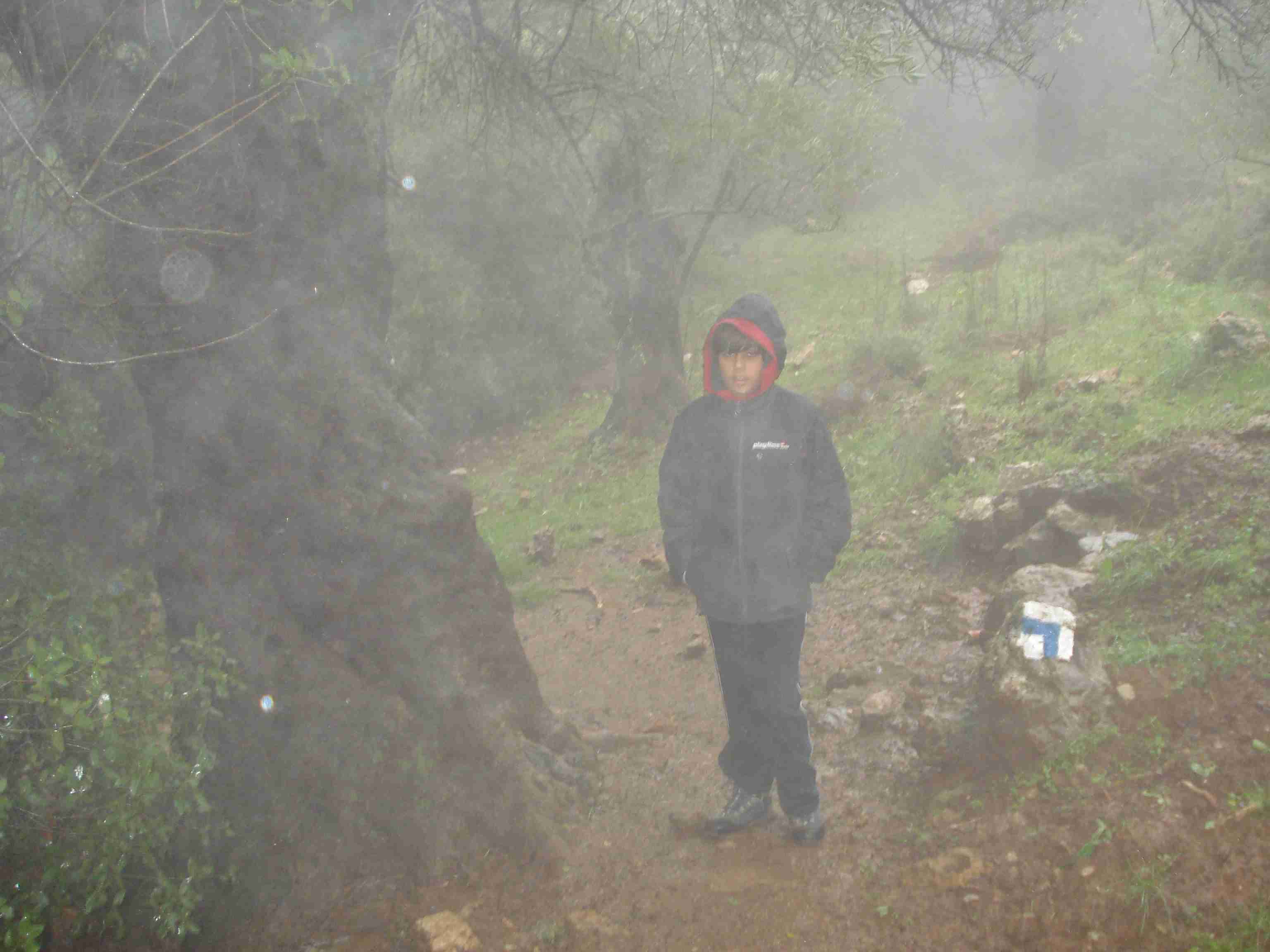 Sinalização reflexiva nas colinas de Golan (foto: autor)