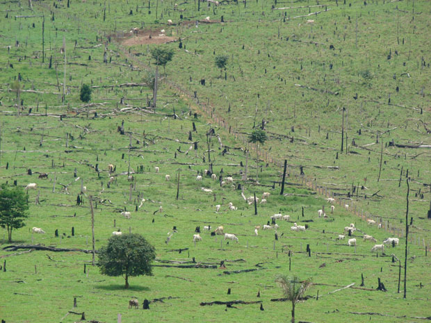 Retirada de vegetação e queimadas ainda são usados para formar pastos em assentamentos. Foto feita em 2009 em assentamento no norte do Mato Grosso (foto: Andreia Fanzeres)
