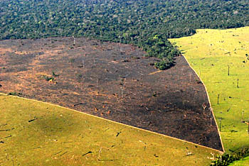 A maior parte dos focos de calor na Amazônia boliviana é provocada pelo homem. (Foto: Juan Fernando Reyes-Herencia)