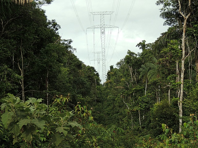Acima, torre de transmissão entre Oriximiná e Engenheiro Lechuga corta a mata. Energia percorre quilômetros para abastecer Amazonas. Foto: Ana Blanc/Ibama/AP